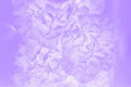 Violet abstract background. Floral gradient background, delicate carnation flowers pattern