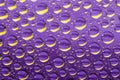 Violet abstract backgrounds