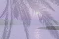 Violet abstract palm tree ocean landscape at sunset