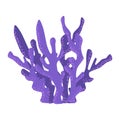 Violet Antler Coral, Tropical Reef Marine Invertebrate Animal Vector Icon