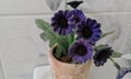 Violet artificial decor flower