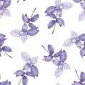 Violet basil seamless pattern on white. Textile design