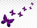 Violet beautiful flying butterflies isolated on transparent background. 3d realistic Butterflies in Motion. Icon Royalty Free Stock Photo