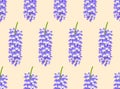 Violet Blue Wisteria on Ivory Beige Background. Vector Illustration