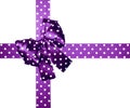 Violet bow and ribbon with white polka dots made from silk Royalty Free Stock Photo