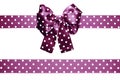 Violet bow and ribbon with white polka dots made from silk Royalty Free Stock Photo