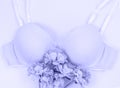 Violet bra with flowers. Close up of an background of underwear in Very Peri trendy color, color of the year 2022. Top view. Royalty Free Stock Photo