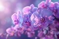 Violet branch orchid. Close-up of bright violet orchids. Royalty Free Stock Photo