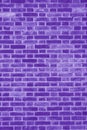 Violet brick building wall. Interior of a modern loft. Royalty Free Stock Photo