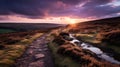 Violet And Brown: A Stunning Path In Yorkshire Heath Royalty Free Stock Photo