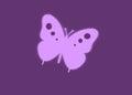 Violet butterflies for design,blur, isolated on purple background