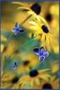 Violet butterflies and yellow bright summer flowers in a fairy garden. Macro artistic image
