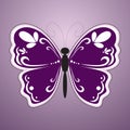 Violet butterfly Royalty Free Stock Photo