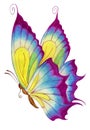 Violet butterfly watercolor illustration. Isolated on a white background.