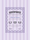 Violet Classic Certificate template. Money Pattern design. With great quality guilloche pattern. EPS10