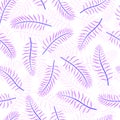 Violet coconut tropical palm leaves