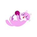 Violet color cat is playing with thread ball at room
