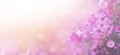 Violet color floral abstract background.