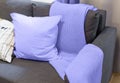 violet color pillows to sofa in the bedroom