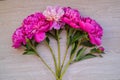 Violet and creamy peony on the background of wood