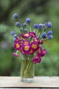 Violet crimson blue flowers bouquet close up photo on summer green background