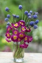 Violet crimson blue flowers bouquet close up photo on summer green background