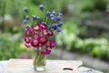 Violet crimson blue flowers bouquet close up photo on summer green background