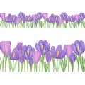 Violet crocus flowers horizontal border repeat pattern, hand drawn simple springtime image Royalty Free Stock Photo