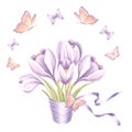 Violet crocuses bouquet with silk ribbon and flying peach butterflies. Isolated hand drawn watercolor illustration Royalty Free Stock Photo