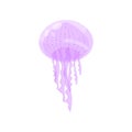 Violet cute ocean jellyfish, underwater marine creature