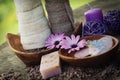 Violet dayspa nature set Royalty Free Stock Photo