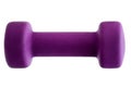 Violet dumbbel fitness equipment for exercise. Royalty Free Stock Photo
