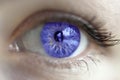 Violet eye color