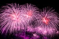 Violet fireworks display. Royalty Free Stock Photo