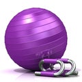 Violet fitness ball and push-up bars Royalty Free Stock Photo