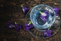 Violet flower Asian pigeonwings or Butterfly Pea Heabal hot drinking tea Royalty Free Stock Photo