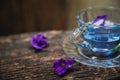 Violet flower Asian pigeonwings or Butterfly Pea Heabal hot drinking tea Royalty Free Stock Photo
