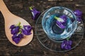 Violet flower Asian pigeonwings or Butterfly Pea Heabal hot drinking tea Royalty Free Stock Photo