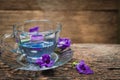 Violet flower Asian pigeonwings or Butterfly Pea Heabal hot drinking tea