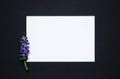 Violet flower on a black and white background. rectangle on a black background. blank for postcards.