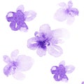 Watercolor Violet abstract flowers background design