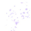 Violet flower petals falling down. Dazzling romant