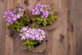 Violet flower Pot with Purple Little Flowers over Rustci wooden Background Flat Lay copy Space Royalty Free Stock Photo