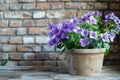 Violet flower pot on table on brick wall background in garden Royalty Free Stock Photo