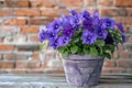 Violet flower pot on table on brick wall background in garden Royalty Free Stock Photo