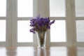 Violet flower in vase Royalty Free Stock Photo