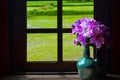 Violet flower vase near the window with green field Royalty Free Stock Photo