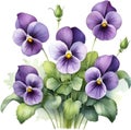 Violet flower, Watercolor painting of a Violet flower (Viola Sororia) flower. AI-Generated. Royalty Free Stock Photo