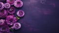 Purple Flowers On Dark Purple Background: Matte Photo With Gothic Aesthetic