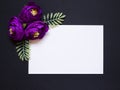 Violet flowers on a black background. White square on a black background. A blank for a postcard. Royalty Free Stock Photo